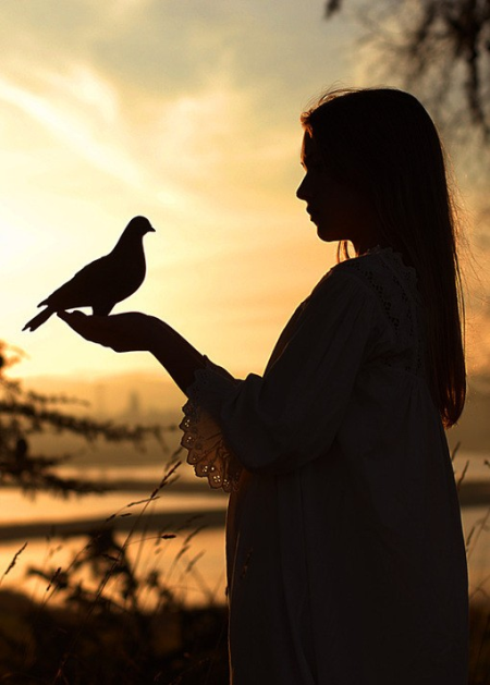 隐世古刹 禅修佛心(组图)