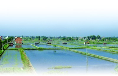 实施水产跨越工程 加快现代渔业建设(组图)