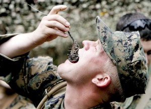 美士兵吃蝎子锻炼野外生存能力.