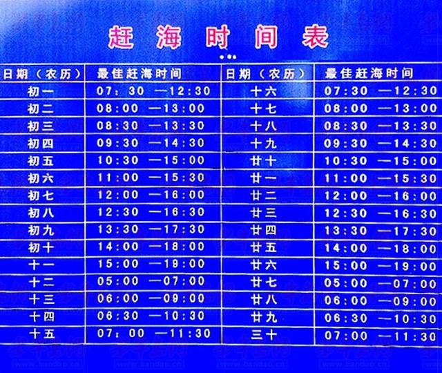 去会场赶海节挖蛤蜊吧(图)