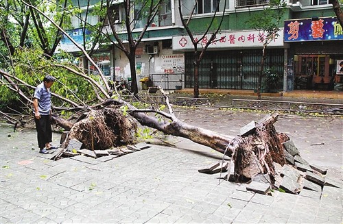 今年最强台风"天兔"来袭(组图)
