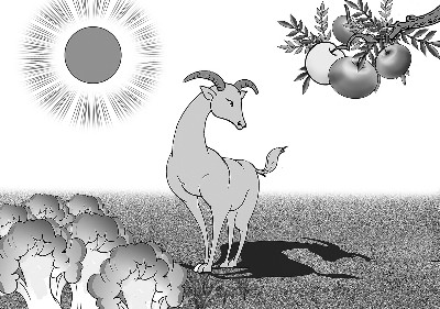 这时,太阳东升斜照大地,在不经意中,山羊看见了自己的影子,它的影子