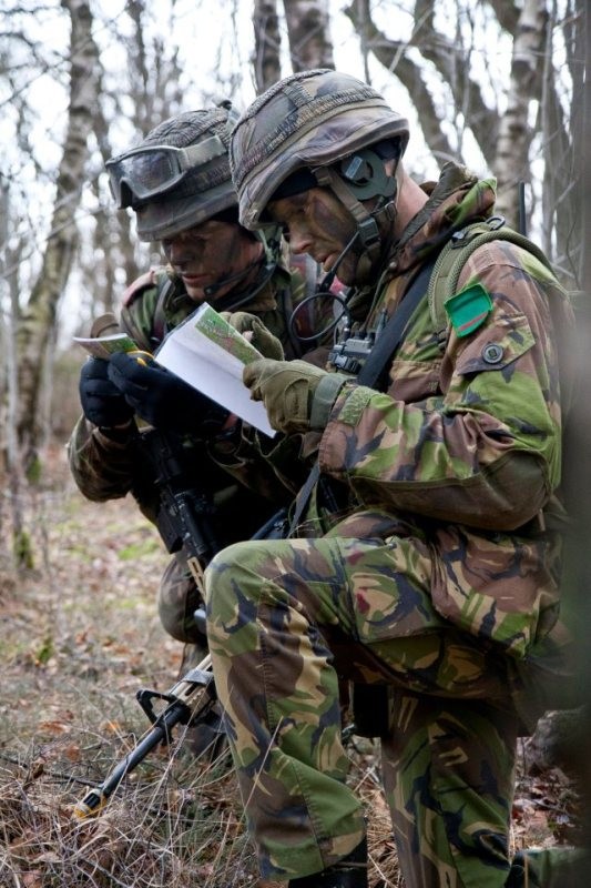 荷兰精锐士兵演练林地作战