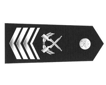 陆军一级士官领章图片图片